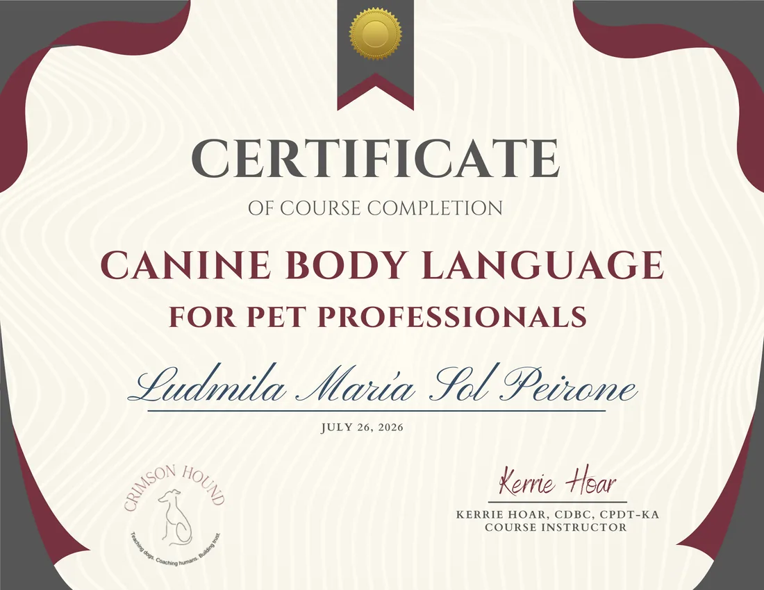 Certificate of course completion in Canine Body Language for Pet Professionals, issued by Crimson Hound to Ludmila Mar&iacute;a Sol Peirone on 26 July 2026. Course instructor Kerrie Hoar.